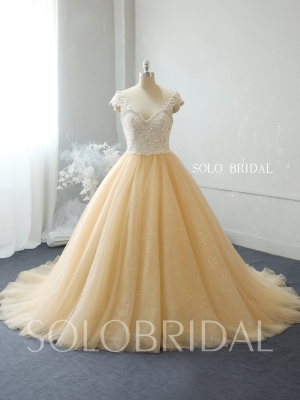 Champagne shiny ball gown wedding dress 724A2194